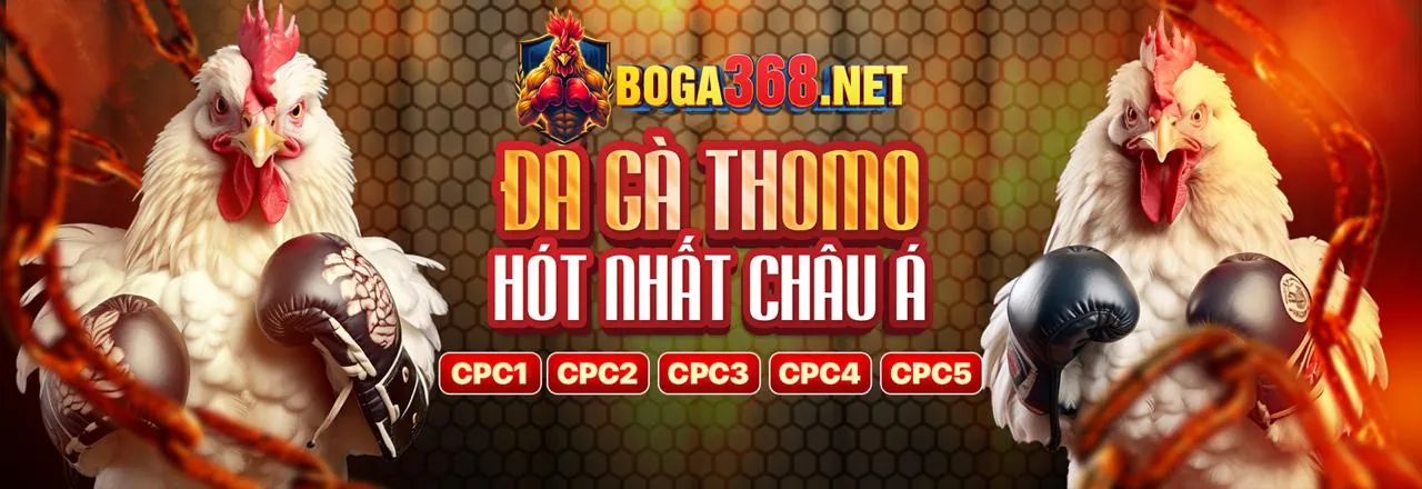 Đá gà kịch tính tại Hitclub